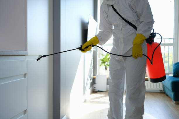 Best Commercial Mold Removal  in Brentwood, MD